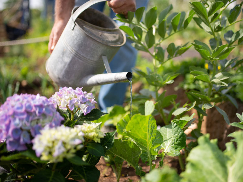Renovation of the Mini Tool Shed in the Garden | Say goodbye to cluttered piles, and enjoy one-stop storage for gardening supplies 🌿