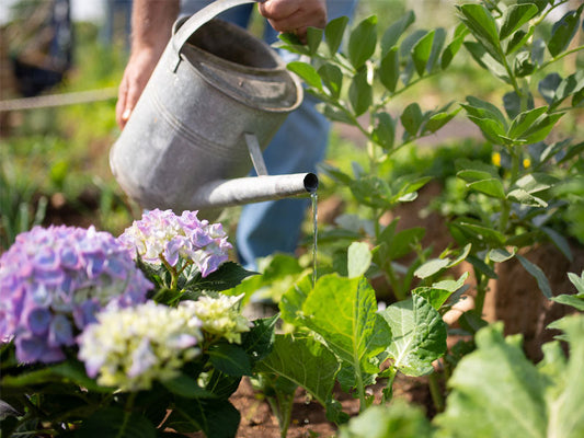Renovation of the Mini Tool Shed in the Garden | Say goodbye to cluttered piles, and enjoy one-stop storage for gardening supplies 🌿
