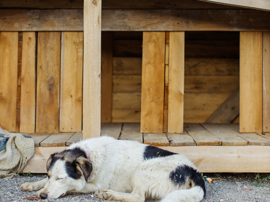 Low-stress outdoor pet habitat | Exclusive cozy corner for cats and dogs, protecting from sun and rain with peace of mind🐱🐶