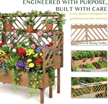 Petsblublu Raised Garden Bed Outdoor with Lattice Trellis, Flower Plant Stand with Two Planting Areas