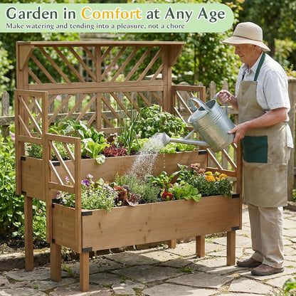 Petsblublu Raised Garden Bed Outdoor with Lattice Trellis, Flower Plant Stand with Two Planting Areas