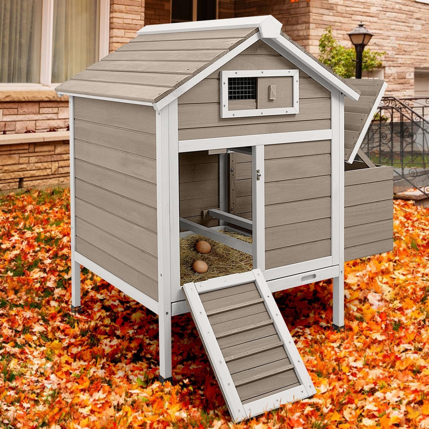 Petsblublu Wooden Small Chicken Coop Outdoor Hen House with 2 Nesting Box, 32 L x 23.6 W x 36.6 H