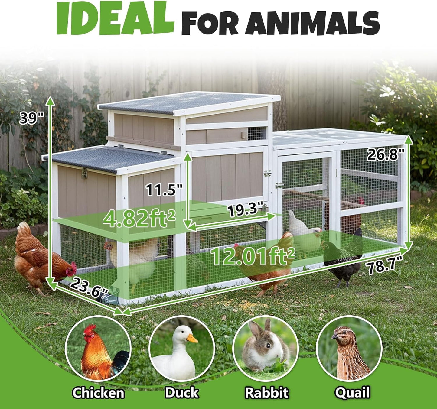 Petsblublu 79 L Chicken Coop and Run, 2 Story Backyard Hen House with Nesting Box