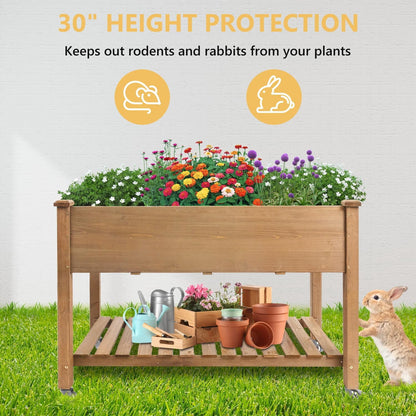 Petsblublu Raised Garden Bed with Wheels, Outdoor Elevated Wood Planter Box for Backyard Balcony